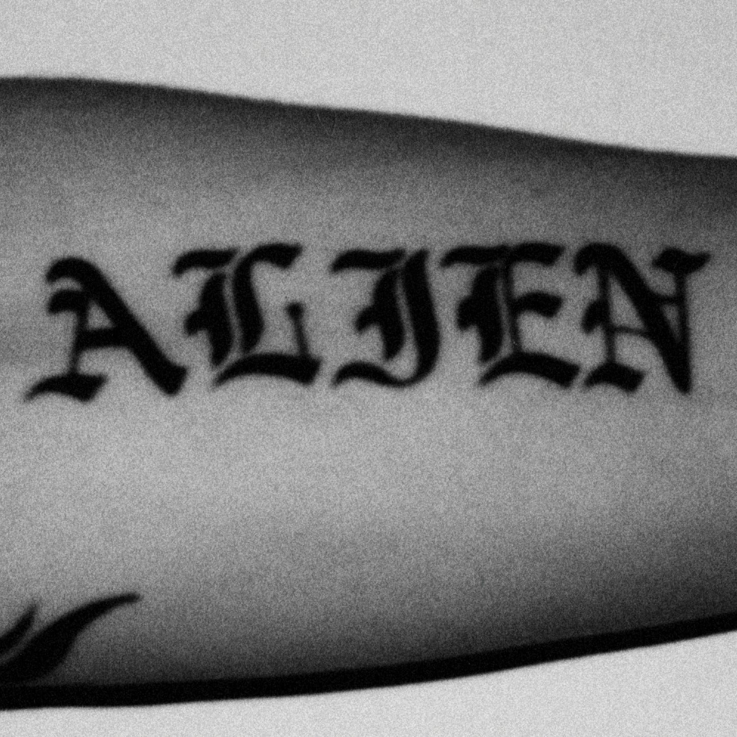 MIKE VALLELY ALIEN