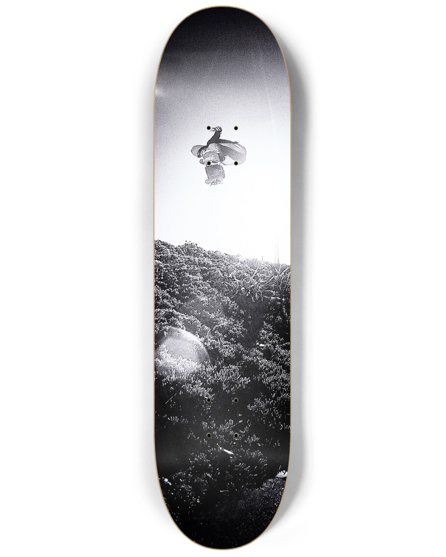 STEVE OLSON 8.25" DECK