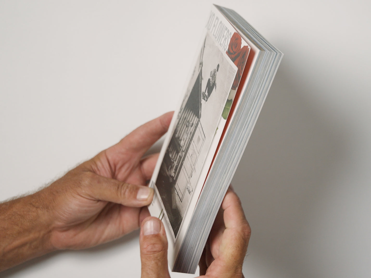 SUMMER 24 BOOK